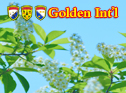 Please enjoy Golden Int'l Dance Academy teaching demo, student performance demo and student study in classroom demo,  

for more please visit http://3.8a99.com/en/